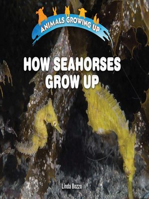 cover image of How Seahorses Grow Up